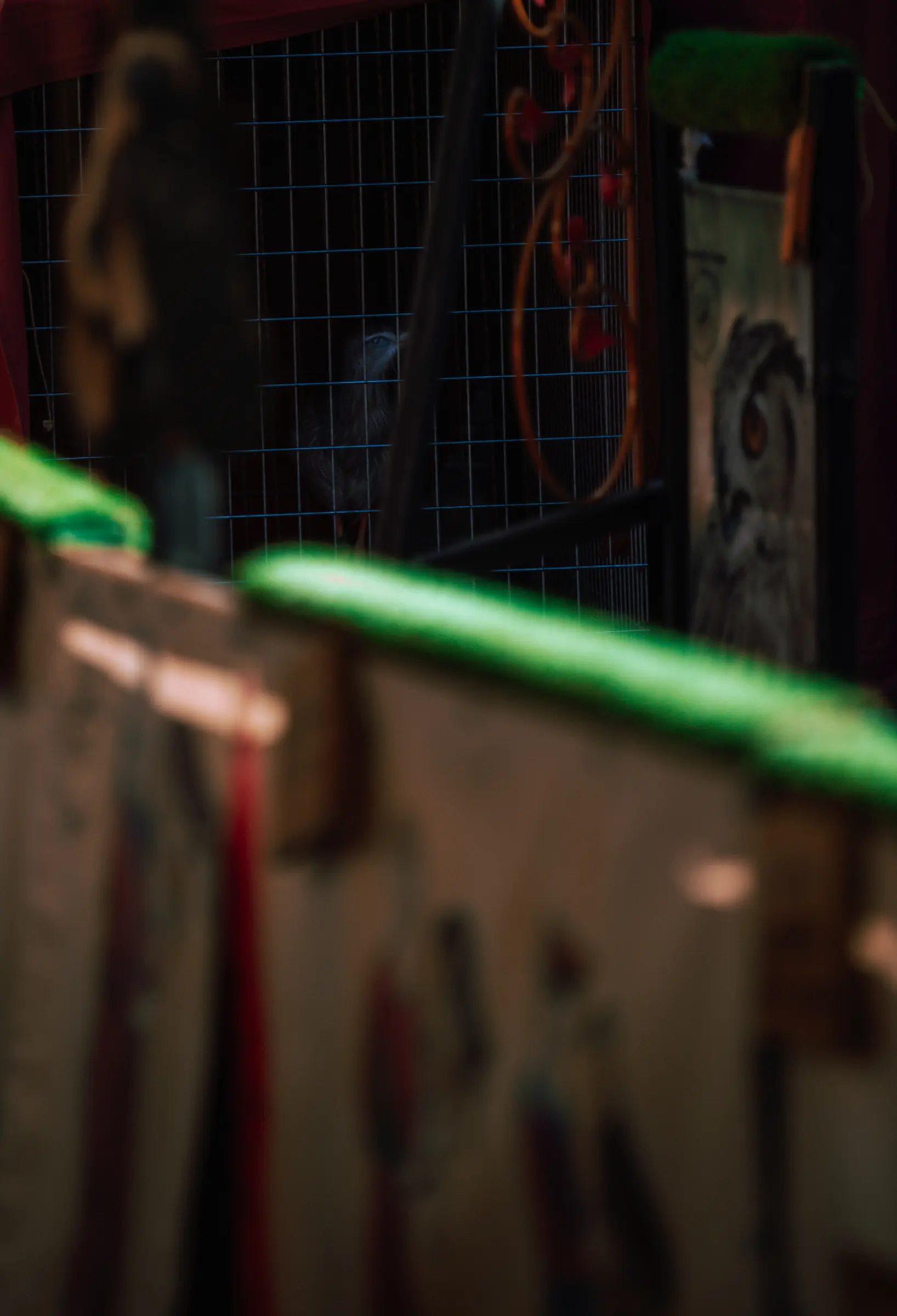 Teruel_Medievales-45