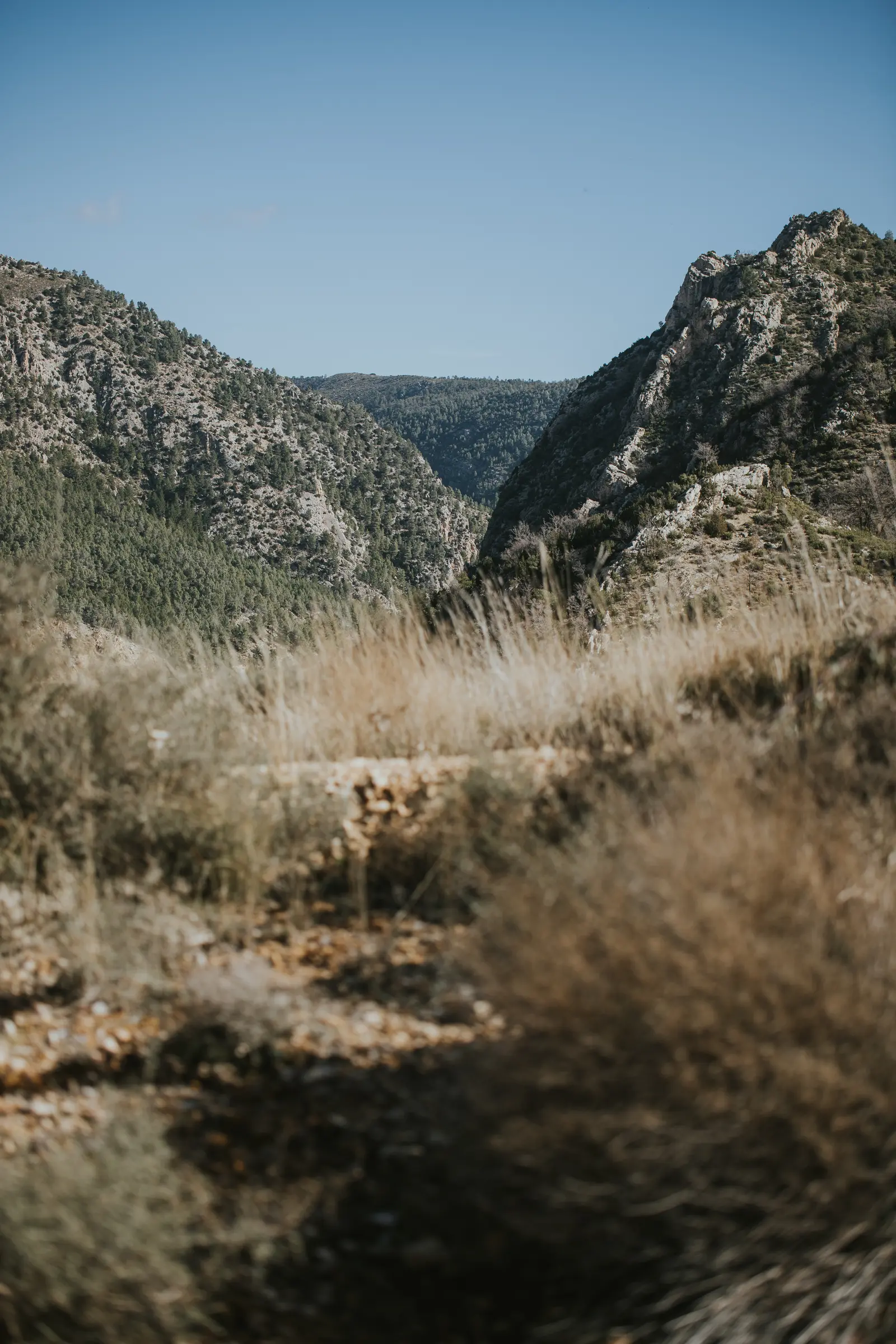 Ruta_Montoro_de_Mezquita-11