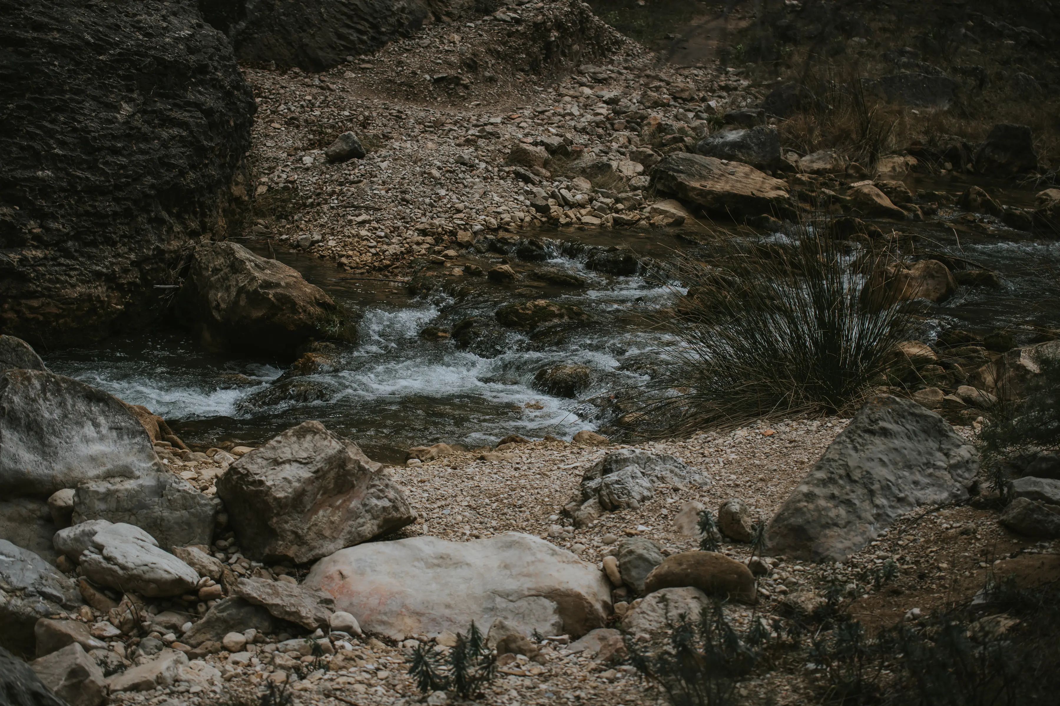 Ruta_Montoro_de_Mezquita-115