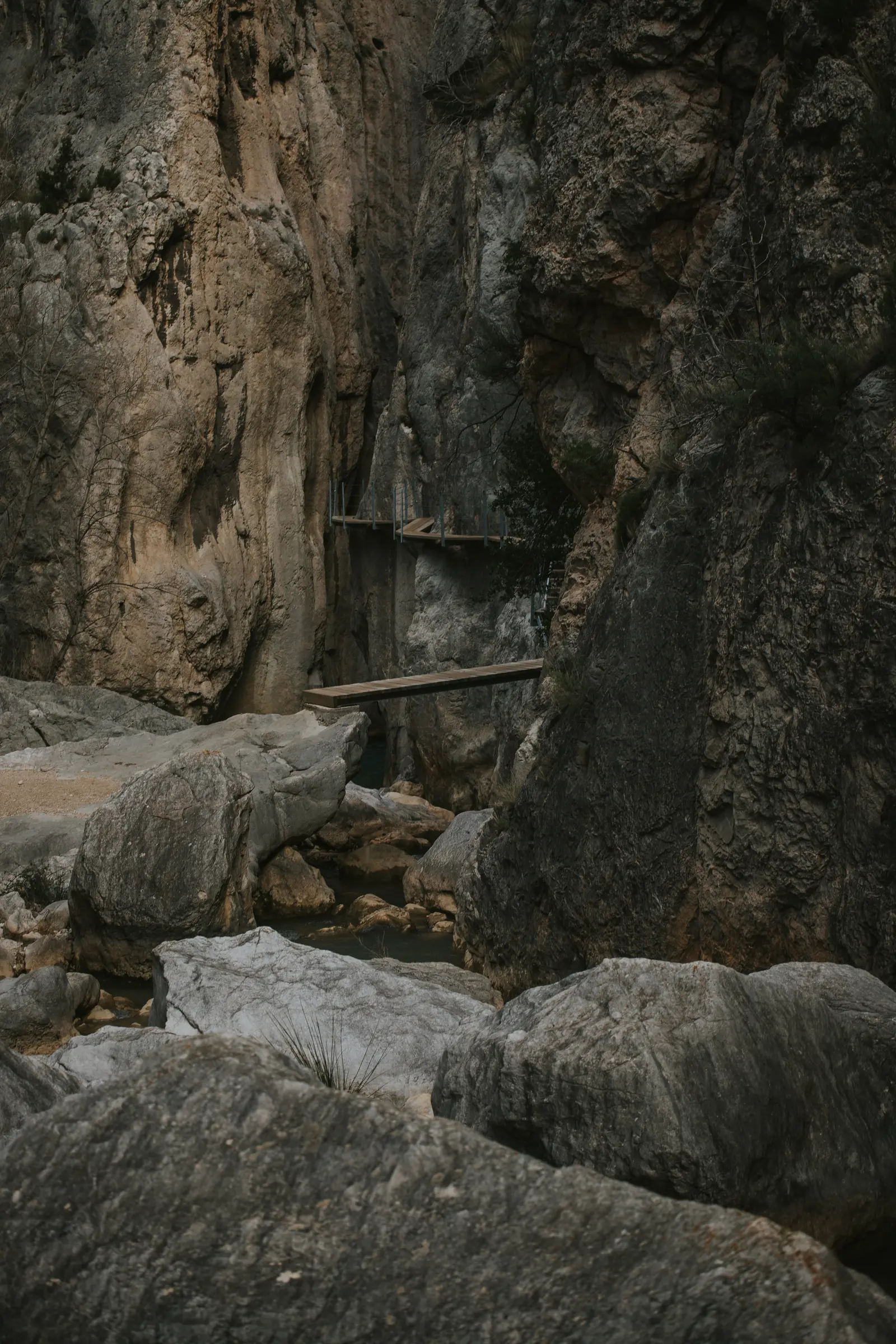 Ruta_Montoro_de_Mezquita-119