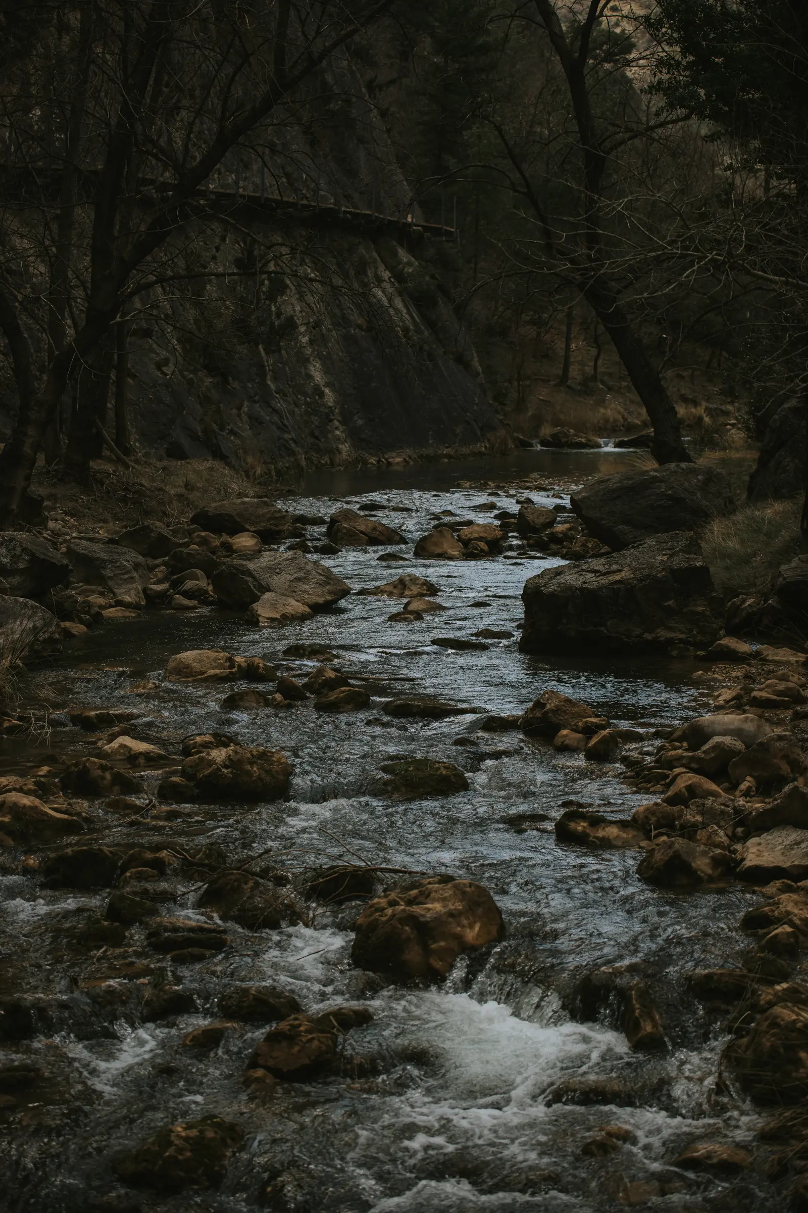 Ruta_Montoro_de_Mezquita-120