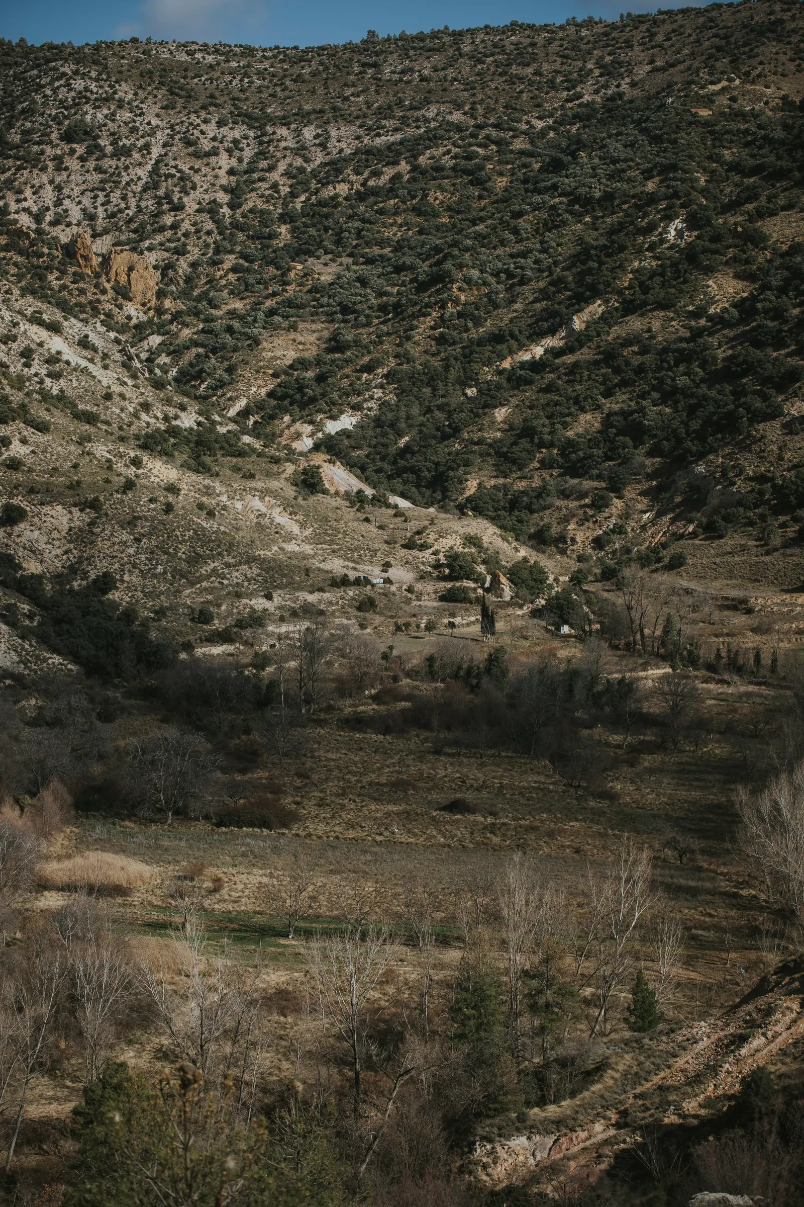 Ruta_Montoro_de_Mezquita-36