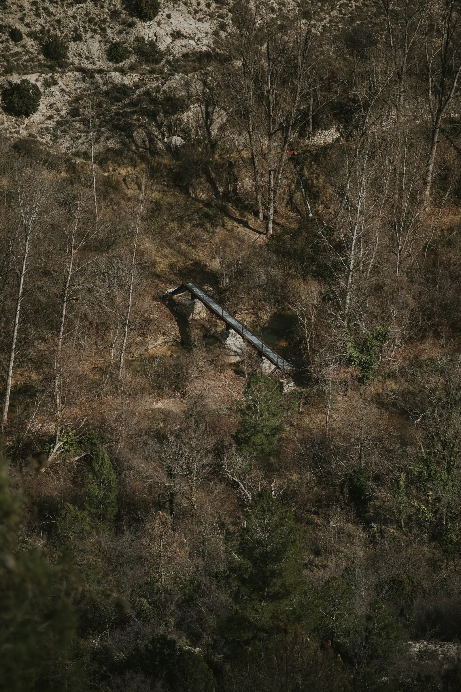 Ruta_Montoro_de_Mezquita-40