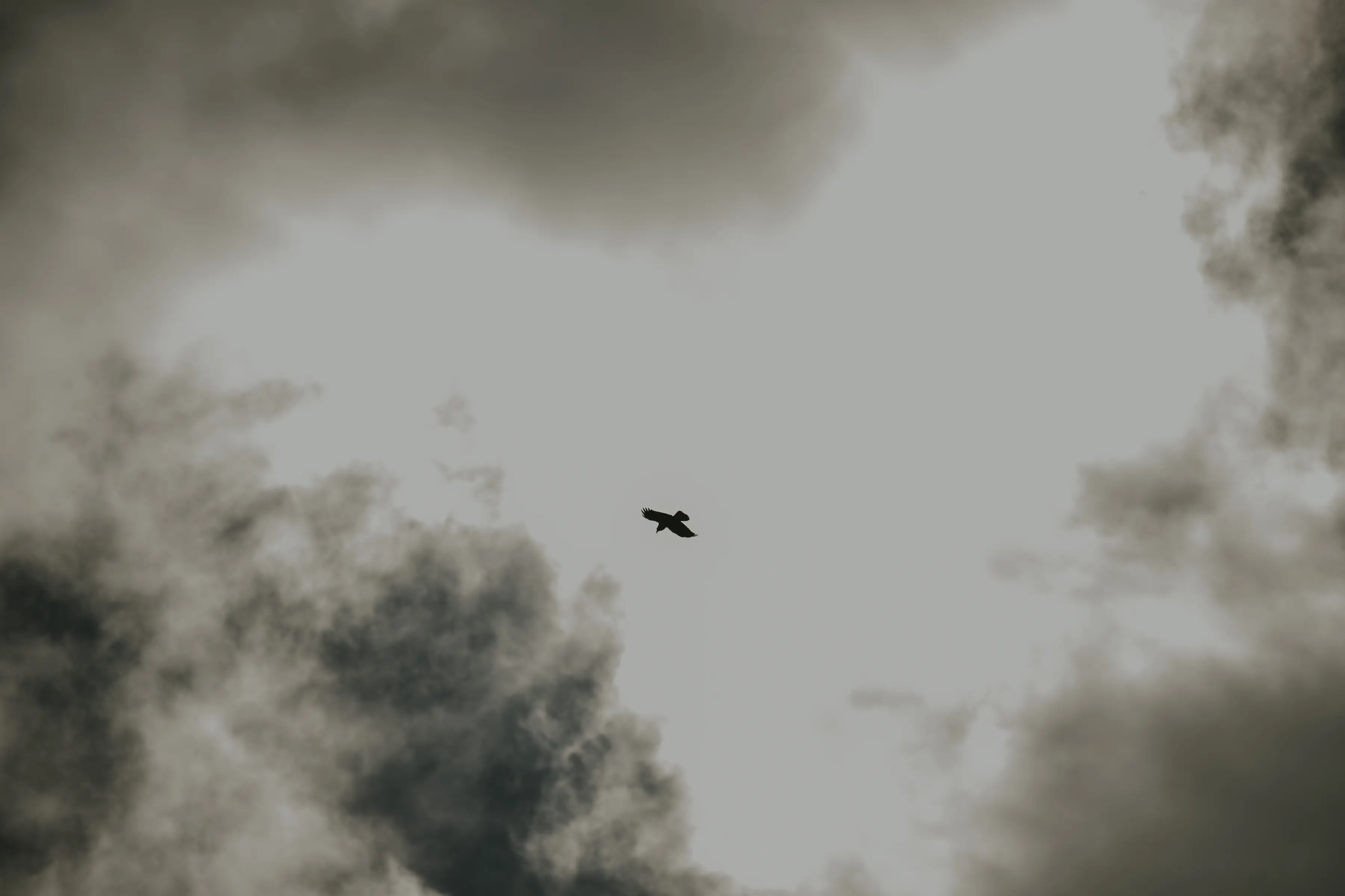 Ruta_Montoro_de_Mezquita-41