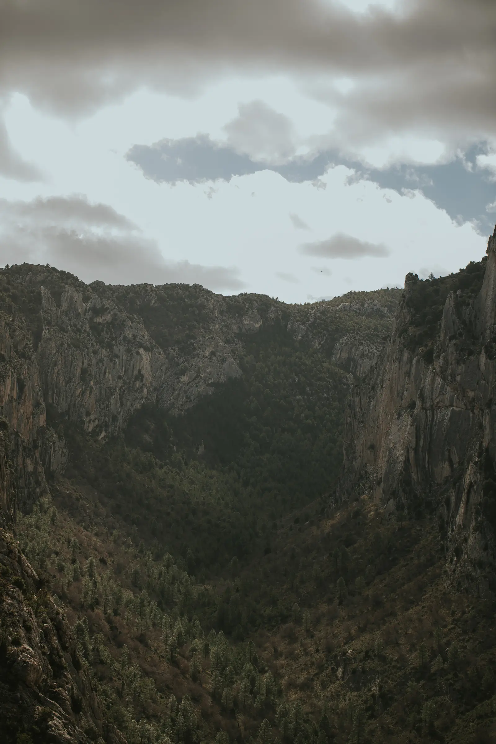 Ruta_Montoro_de_Mezquita-51