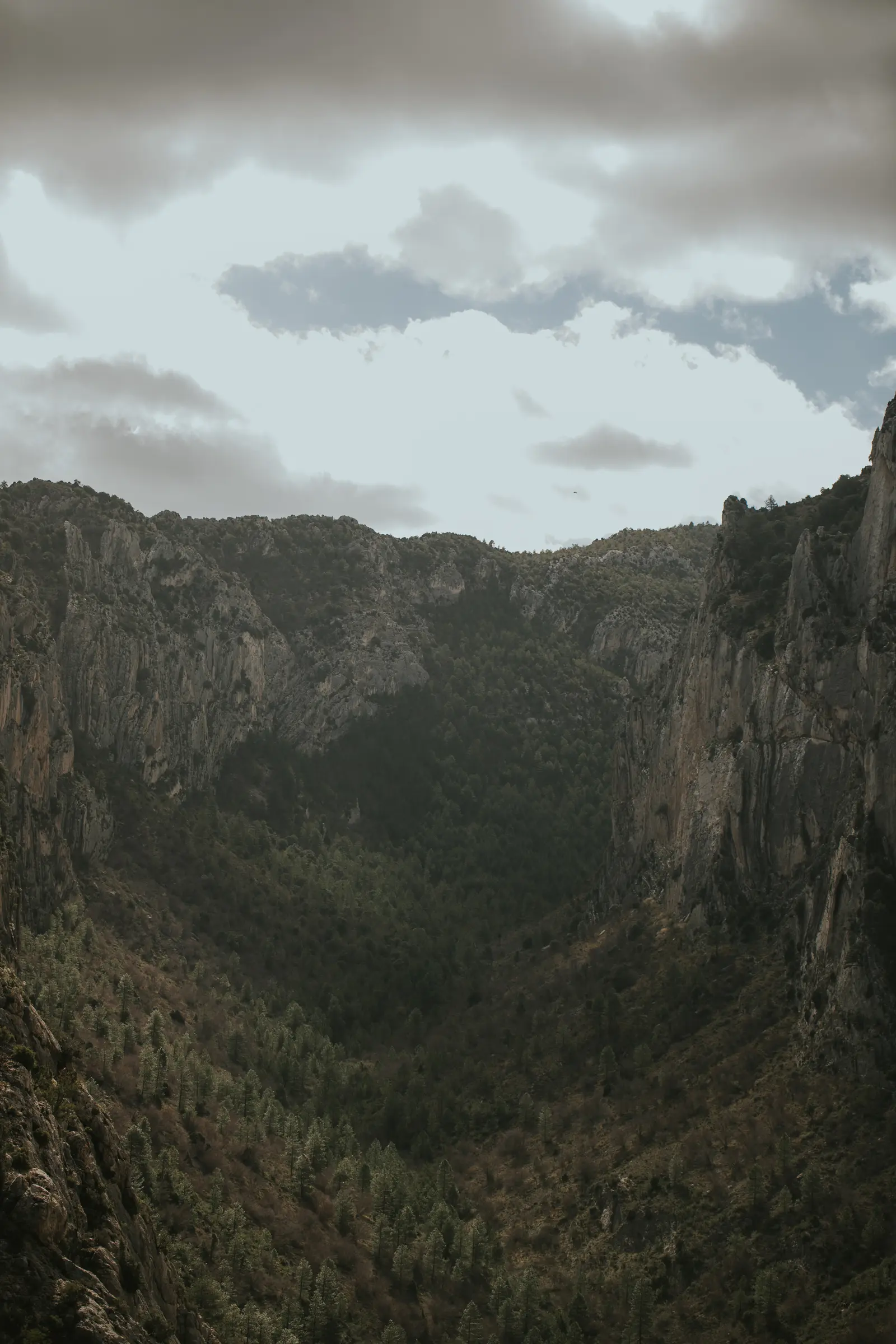 Ruta_Montoro_de_Mezquita-52