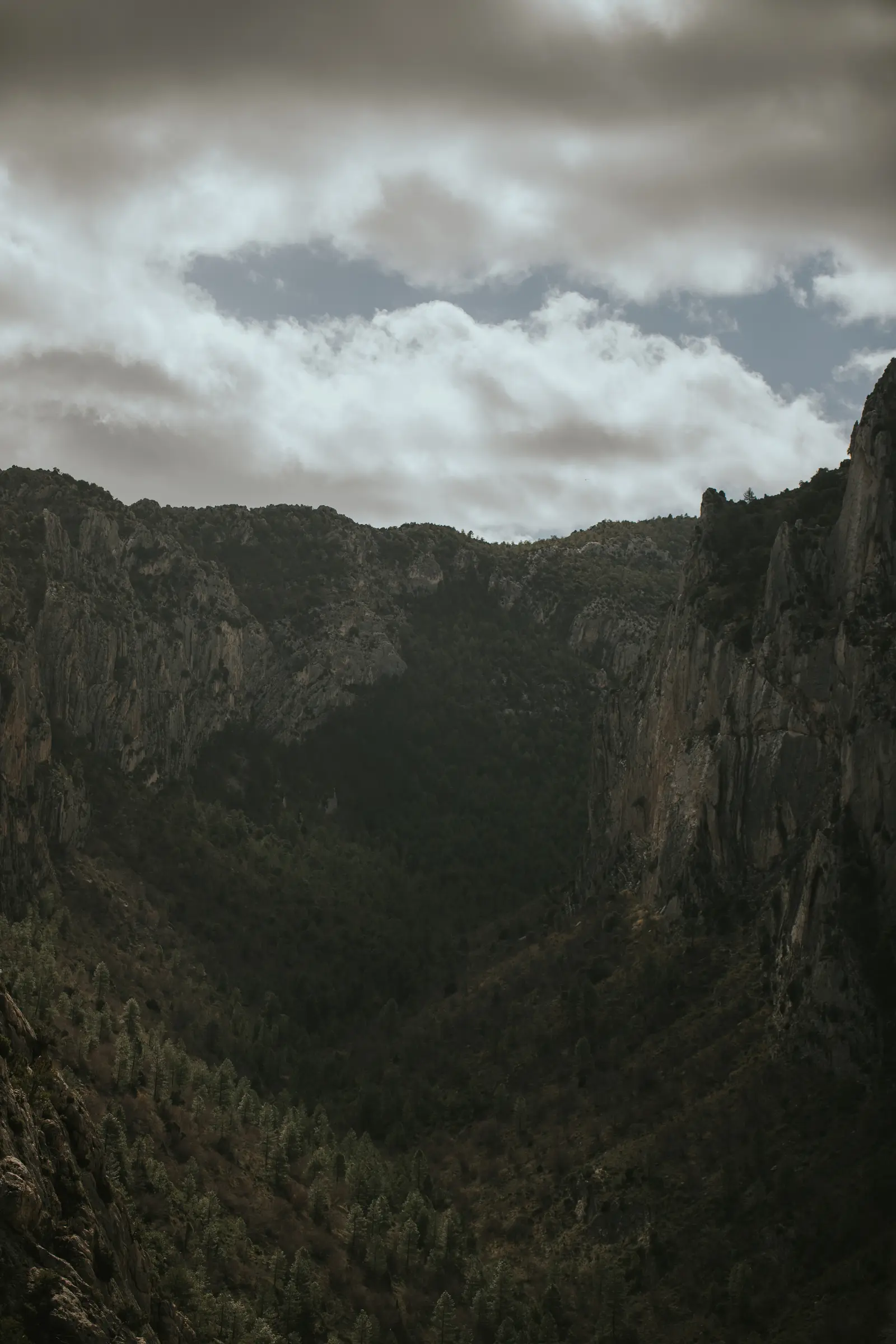 Ruta_Montoro_de_Mezquita-53