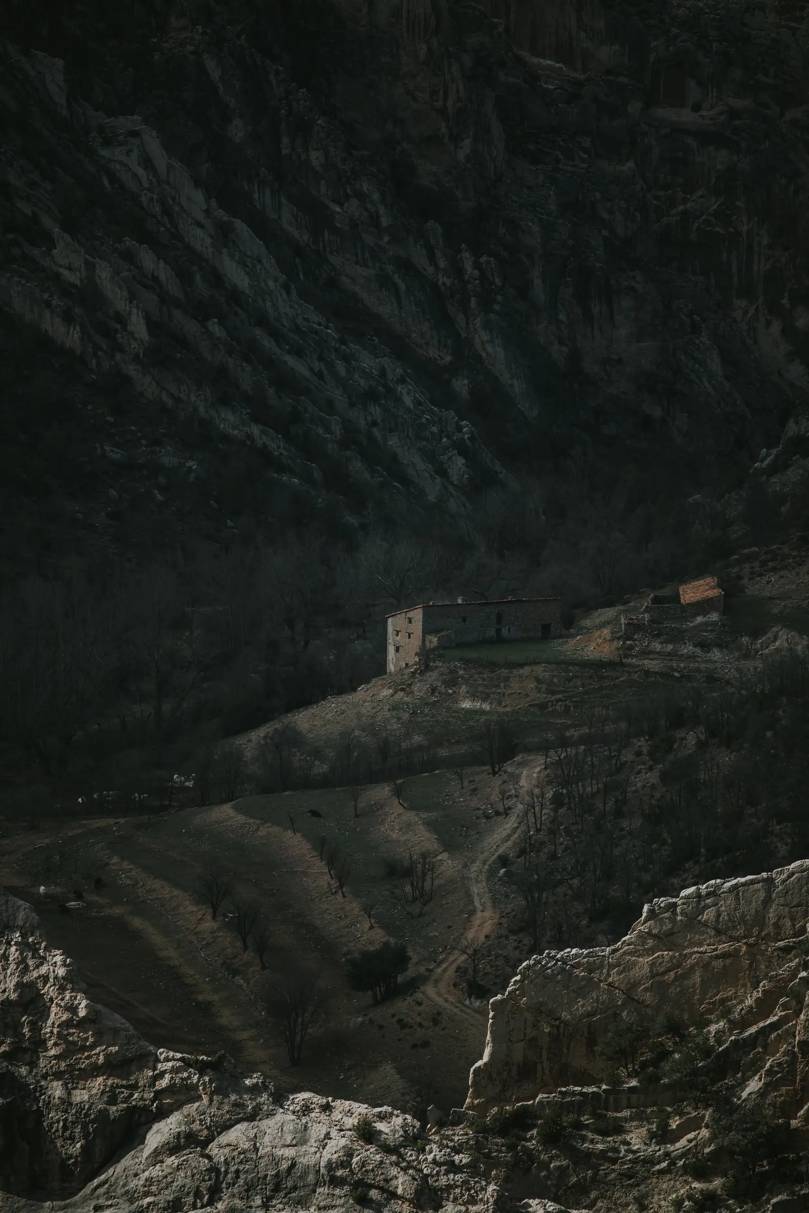 Ruta_Montoro_de_Mezquita-62