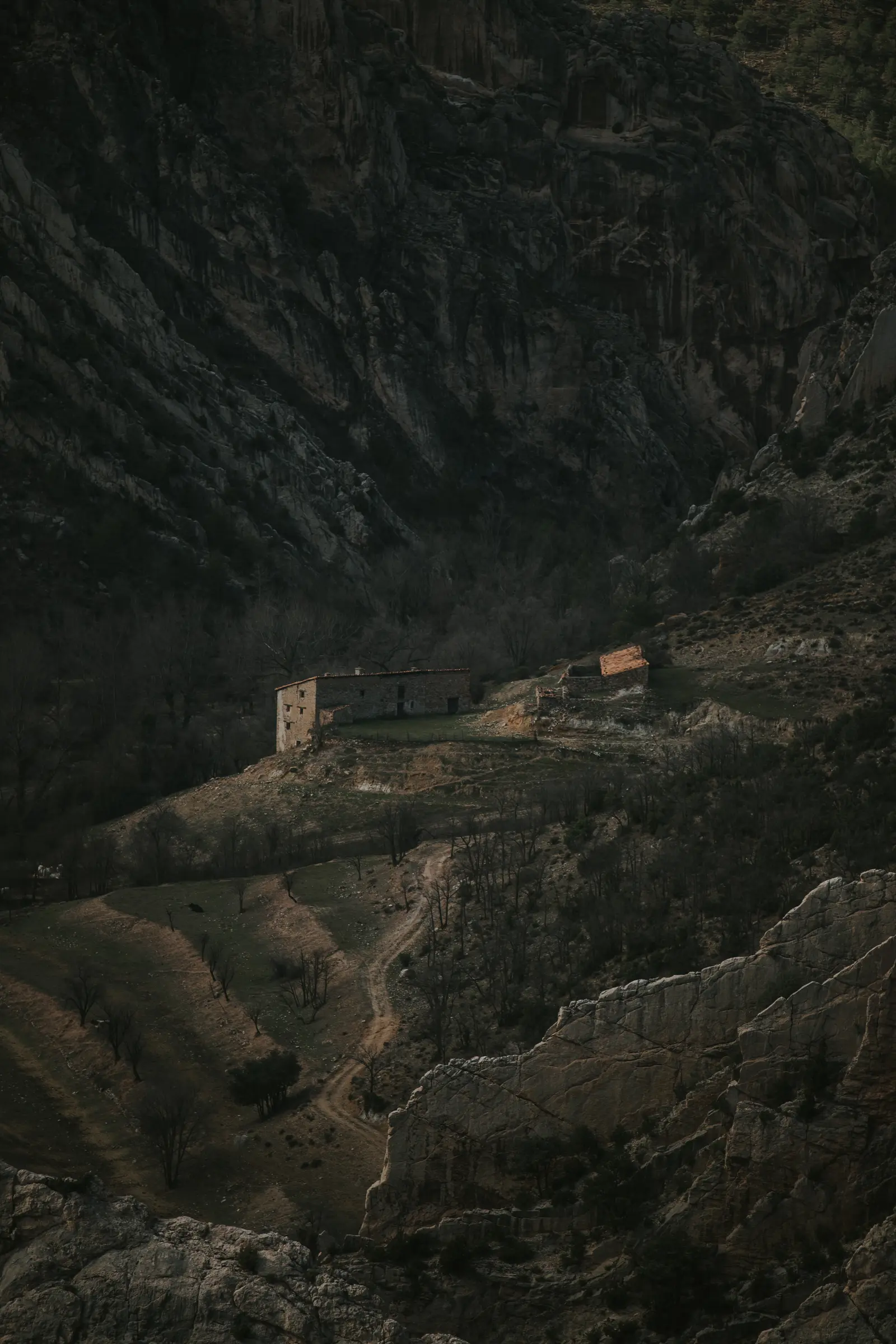 Ruta_Montoro_de_Mezquita-63