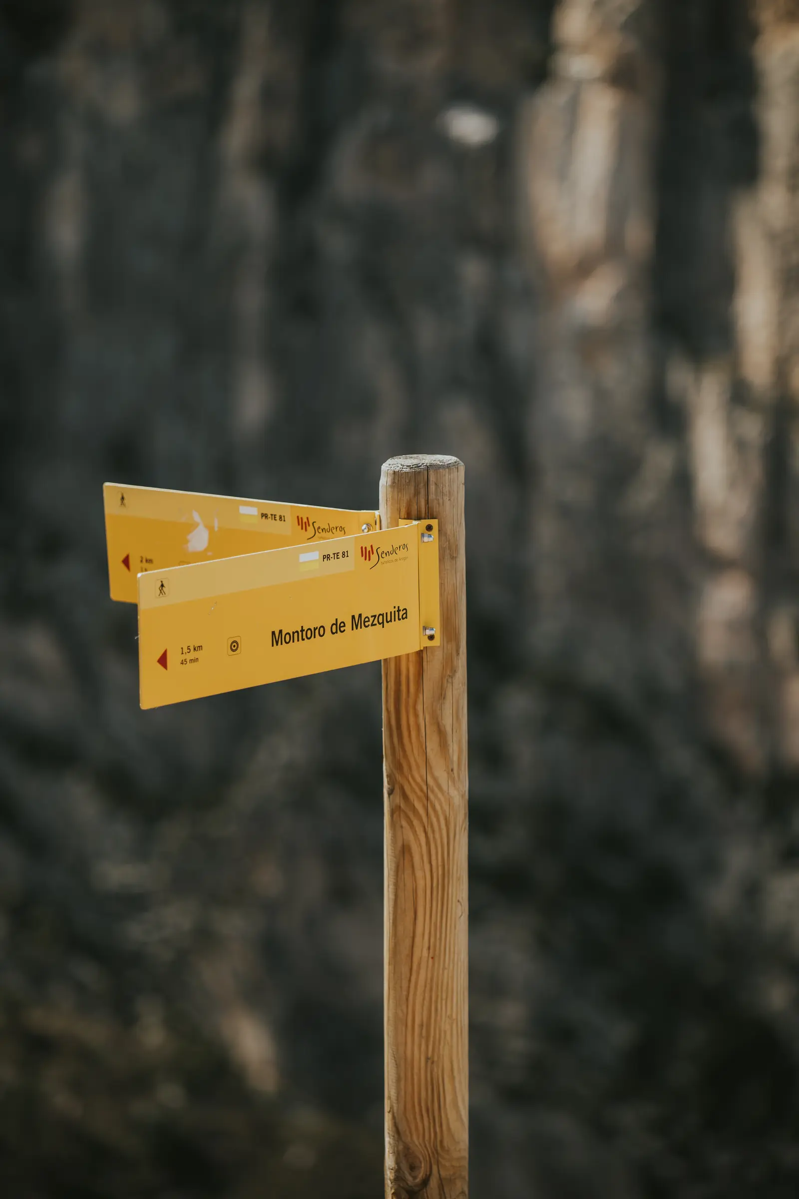 Ruta_Montoro_de_Mezquita-65