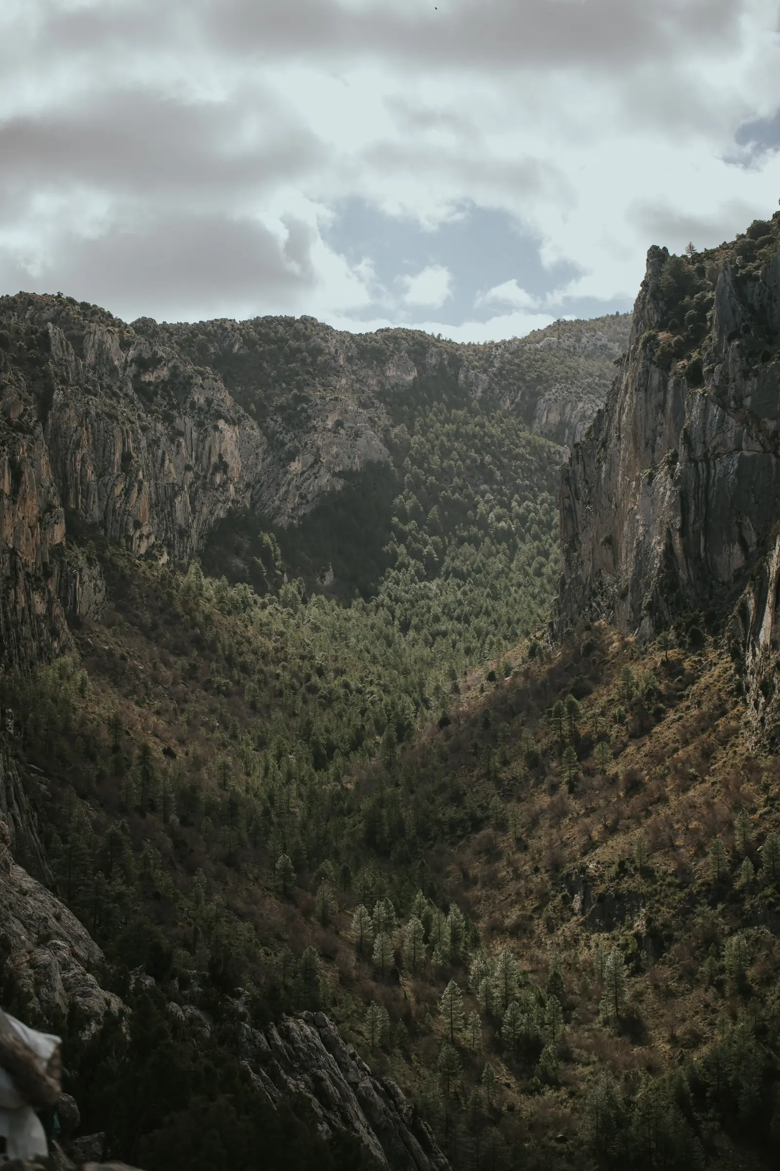 Ruta_Montoro_de_Mezquita-72