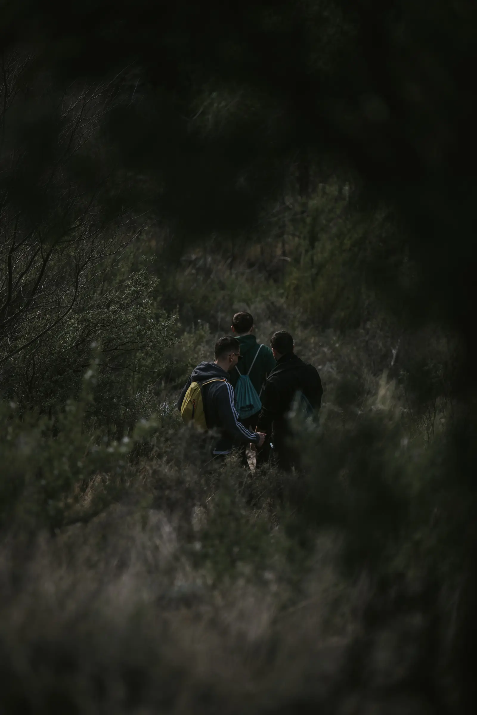 Ruta_Montoro_de_Mezquita-82