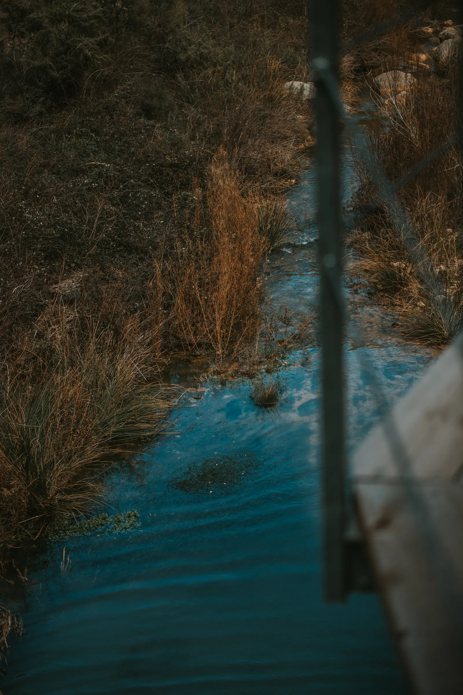 Ruta_Montoro_de_Mezquita-89